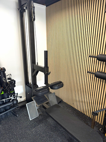 Watson gym lat pull - gym,